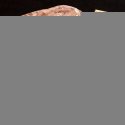 Майстер : Оксана Зоренко. V Всеукраїнська виставка « Бісер : Вчора. Сьогодні. Завтра », 4.03 – 2.04.2017 р.