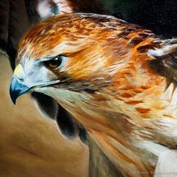 Автор: Тетяна Болондюк. Третя всеукраїнська виставка-конкурс «Ukrainіаn art is the Best», 1 - 26.11.16 р.