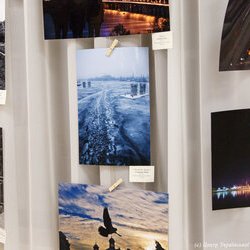 Виставка «Кольорове коло», 16.01 - 02.02.2019 р.