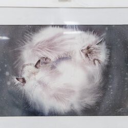 Автор: Вікторія Григор'єва, Виставка «Watercolor. Інтелектуальне мистецтво», 5 - 23.02.2019 р.