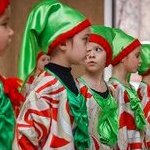 Зимоцвіт. Фотозвіт з відкриття виставки