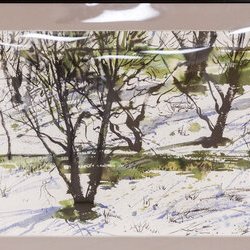 Автор: Наталія Журавльова, Виставка «Watercolor. Інтелектуальне мистецтво», 5 - 23.02.2019 р.