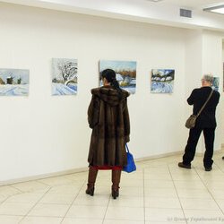 Відкриття виставки «Пейзажна Україна», 20.01.2017 р.