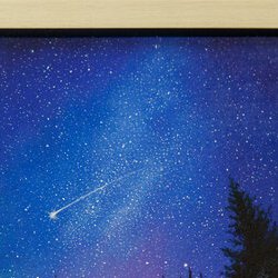 Виставково-соціальний проект «Окрилені мрією», 27.01. - 06.02.2018 р.