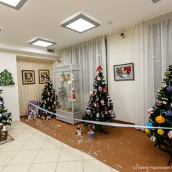 VII Свято Новорічної Іграшки, 2 - 29.12.2017 р.