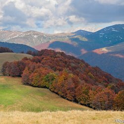 Фото Проекту «Чудо Планета»
