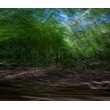 Відкриття фотовиставки «ХАТИ, ЯРИ І ЛЮДИ. ВИГНАННЯ В РАЙ»