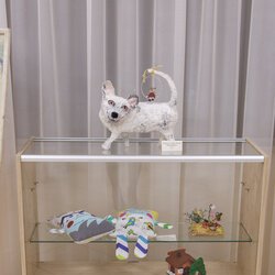 Виставка «Кольорове коло», 16.01 - 02.02.2019 р.