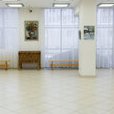 Виставка живопису Ірини Діброви «Пейзажна Україна», 20.01 – 4.02.2017 року.