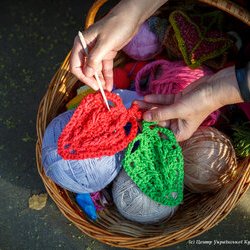 Всесвітній день в'язання на публіці, 8 червня 2018 р.