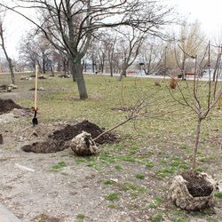 Створення Алеї Щастя, 18 березня 2017 р.