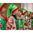 Зимоцвіт. Фотозвіт з відкриття виставки
