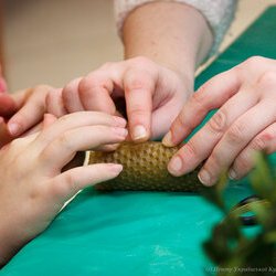 Фото з майстер-класу «Виготовлення різдвяної свічки», Юлія Шкурлатович