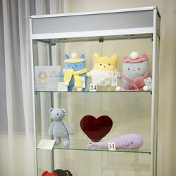 Всеукраїнська виставка в'язання «Тепла осінь», 29.09 – 29.10.2016 р.