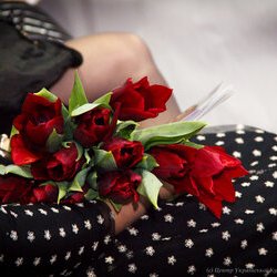 «Fashion скарбниця Чернігова — 2017», 4.03.2017 р.