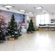 Виставка V Свято Новорічної Іграшки, 05 грудня 2015 року – 16 січня 2016 року