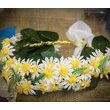 Виставка «Ювілей обухівських майстринь», 13 грудня 2014 року – 14 січня 2015 року