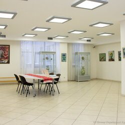 Виставка живопису Ірини Діброви «Пейзажна Україна», 20.01 – 4.02.2017 року. 