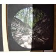 Презентовано фотопроект «ХАТИ, ЯРИ І ЛЮДИ. ВИГНАННЯ В РАЙ»