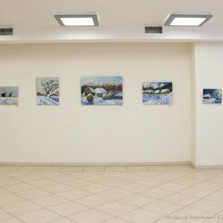 Виставка живопису Ірини Діброви «Пейзажна Україна», 20.01 – 4.02.2017 року. 