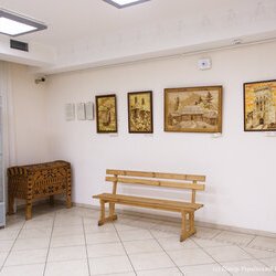 Виставка «…ЯК СОНЦЕ ЗАСТИГЛО У РАМІ», 9.02 - 6.03.2018 р.