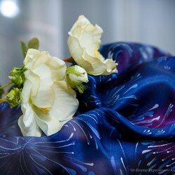 Відкриття виставки «Філософія каліграфії», 12 січня 2018 р.