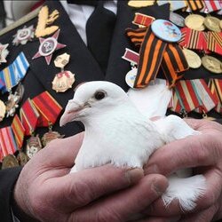 Руки творця перемоги. Руки людини можуть творити різні дива. Одне з найбільших - перемога у Другій світовій війні. Ось ці руки відвоювали для всіх нас Перемогу. Ось такі вони руки творця Миру.