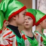 Відкриття виставки Марії Ковалевської "Зимоцвіт"