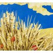 Фоторепортаж з відкриття виставки «…ЯК СОНЦЕ ЗАСТИГЛО У РАМІ»