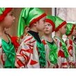 "Зимоцвіт" Марії Ковалевської