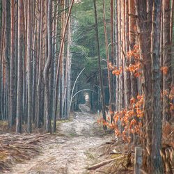 Фото Проекту «Чудо Планета»