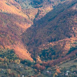 Фото Проекту «Чудо Планета»