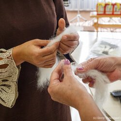Фото з майстер-класу із прядіння нитки з вичесаного собачого підпушку, Олена Тихенко