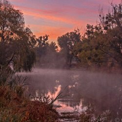 Фото Проекту «Чудо Планета»