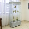 Виставка живопису Ірини Діброви «Пейзажна Україна», 20.01 – 4.02.2017 року.