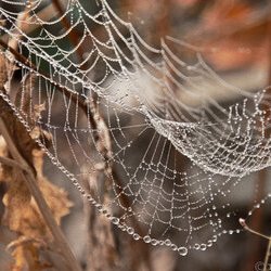 Фото Проекту «Чудо Планета»