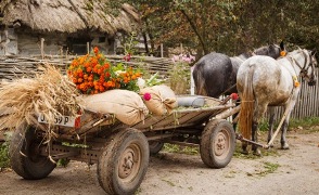 Під стріхою у Юрія Камишного Під стріхою у Юрія Камишного
