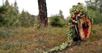 Виставка-підсумок благодійного мистецького проекту «ДІАЛОГ З ПРИРОДОЮ» Виставка-підсумок благодійного мистецького проекту «ДІАЛОГ З ПРИРОДОЮ»