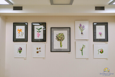 « Ботанічні історії » Міжнародна виставка ботанічного мистецтва 