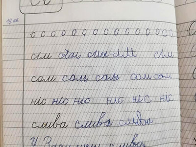 Майстер-клас «Літери та особливі діти: Ненавиджу писати. Не хочу писати. Пишу. Пишу із задоволенням. Із практичного досвіду дитячого психолога»