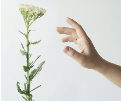 Презентація книги Дар'ї Городецької "Спокій мами"