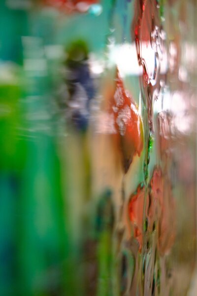 Відкриття виставки «У кожного лісу своє Сонце»